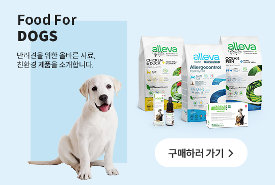 Food For DOGS 반려견을 위한 올바른 사료, 친환경 제품을 소개합니다. 구매하러 가기