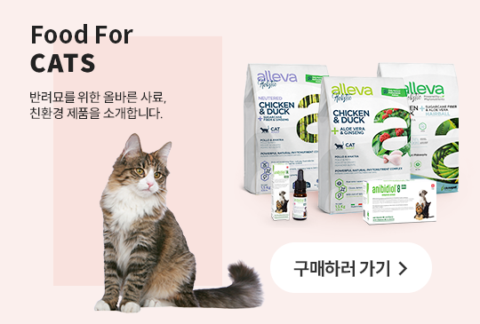 Food For CATS 반려묘을 위한 올바른 사료, 친환경 제품을 소개합니다. 구매하러 가기